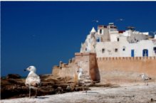 hacia la costa - Essaouira